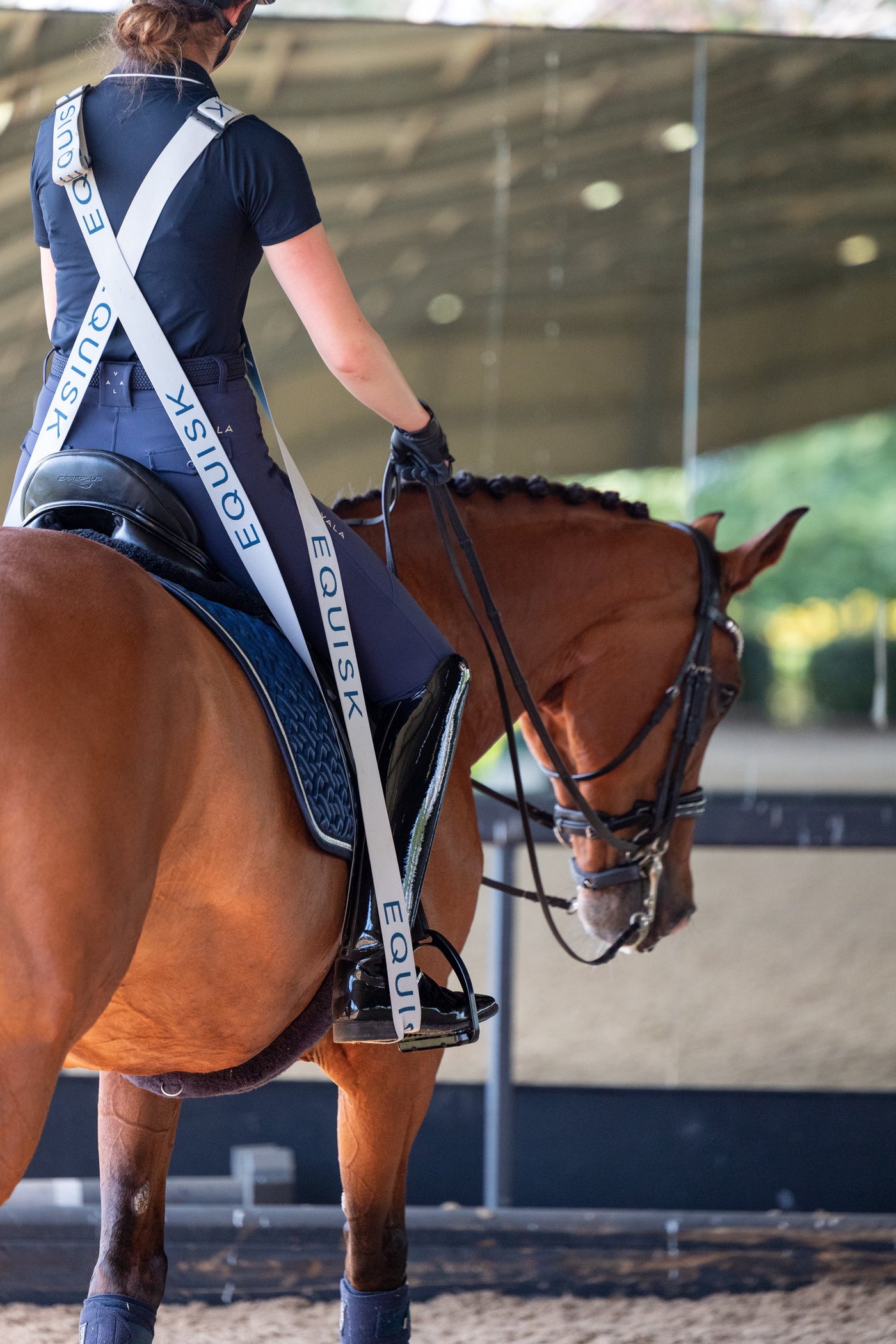 The Art of Warming Up: Preparing Your Horse for Dressage Work