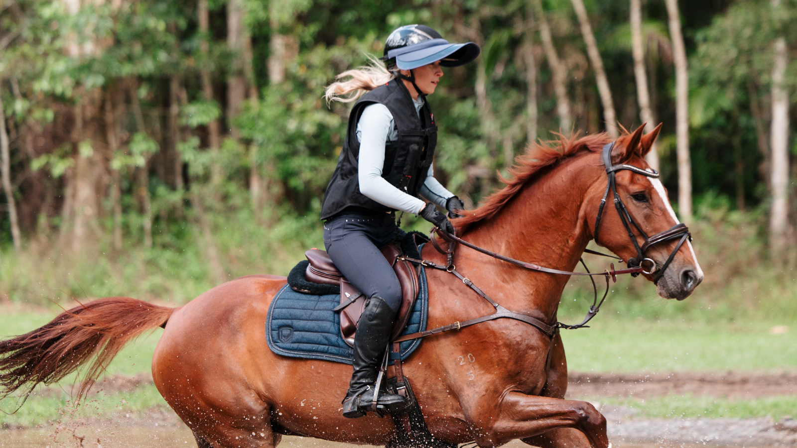 She A Real Rough Rider What Is Throughness (Really)? And Why It Starts With the Rider – EQUISK