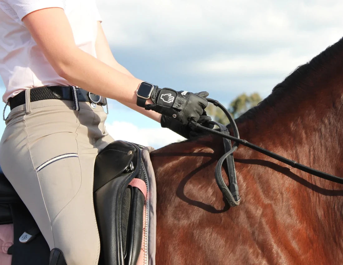 Hands On Glove Horse