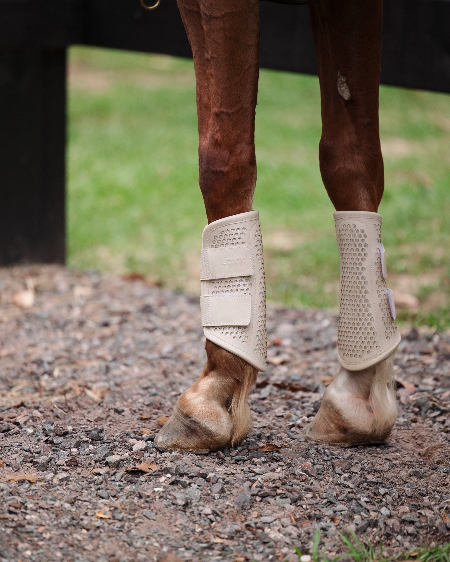 TotalCool Brushing Boot (Pre-Order) - EQUISK