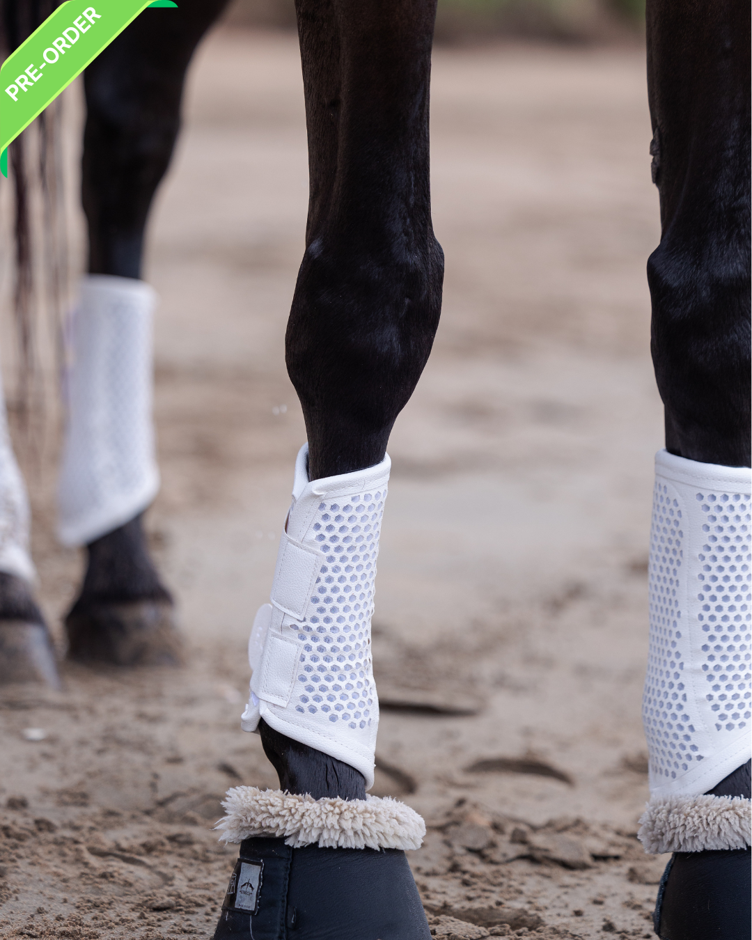 Zandonà Elite Air Tendon Boots | Tosoni Selleria Zandonà Elite Air Tendon Boots | Tosoni Selleria